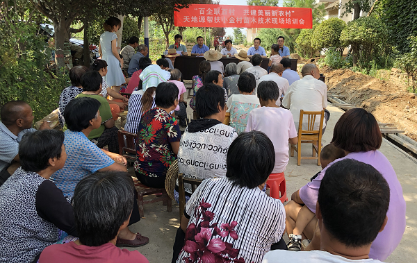 251695625508176657.png 13.png