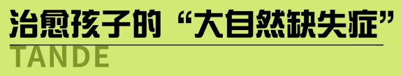 131710316212110012.png image.png