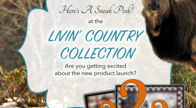 Livin’ Country Collection Coming Soon!